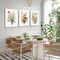 Summer 3 Pcs Framed Floral Plants Wall Decor, Vintage Minimalist Wildflower Picture Posters, Colorful Country Flower Artwork, Abstract Watercolor Landscape Canvas Prints for Garden and Farmhouse Wall Decor